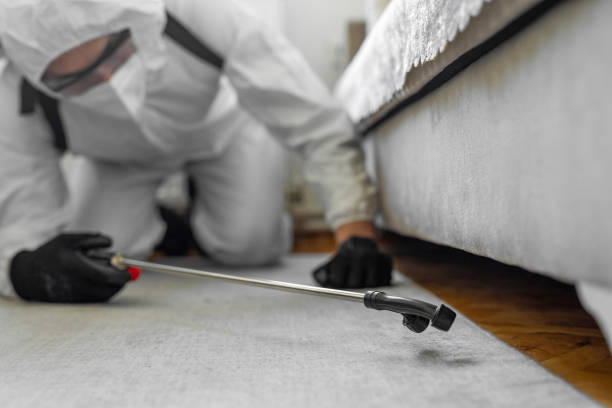 Professional Mosquito Control technician working in Eagan, MN