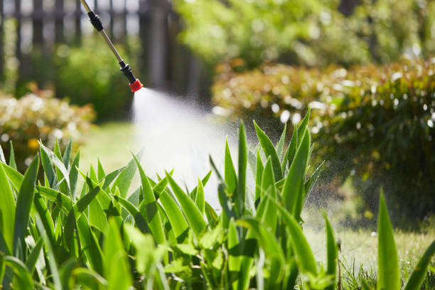 24/7 Emergency Mosquito Control experts in Eagan, MN